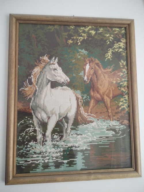 HORSES IN THE RIVER